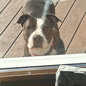 Fundraising Page: Samantha Glatz